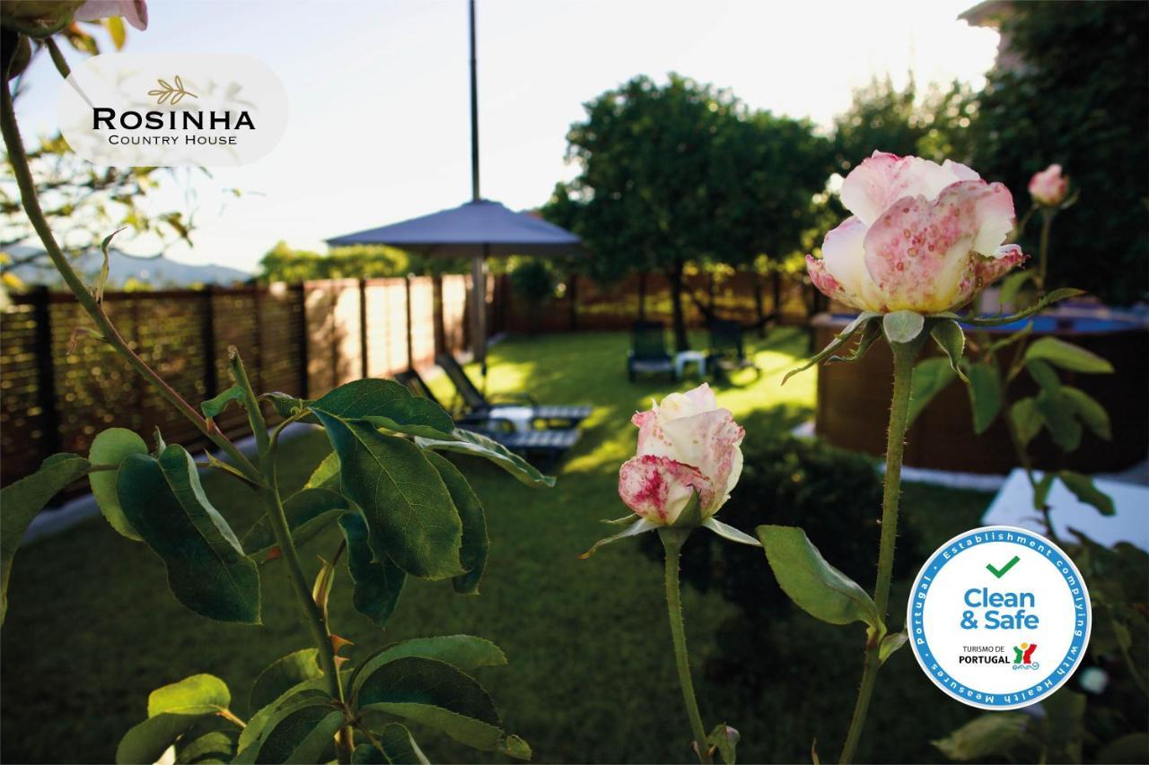 Rosinha Country House Vale de Cambra Kültér fotó