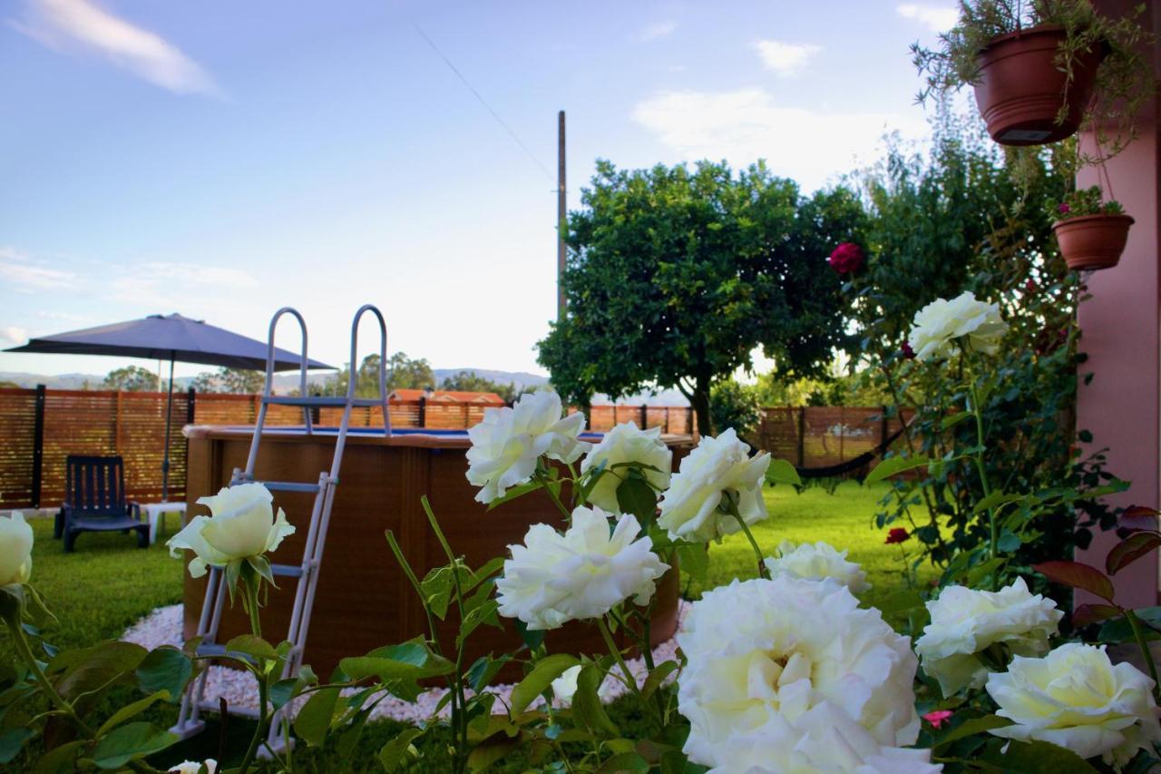 Rosinha Country House Vale de Cambra Kültér fotó